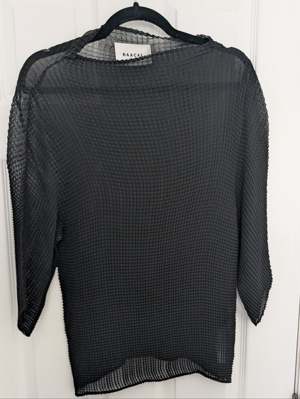 Baacal Pleated Sheer Top